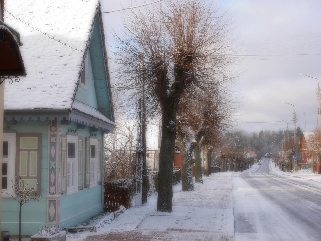 Stoczek 1929 Bed and Breakfast Białowieża Εξωτερικό φωτογραφία