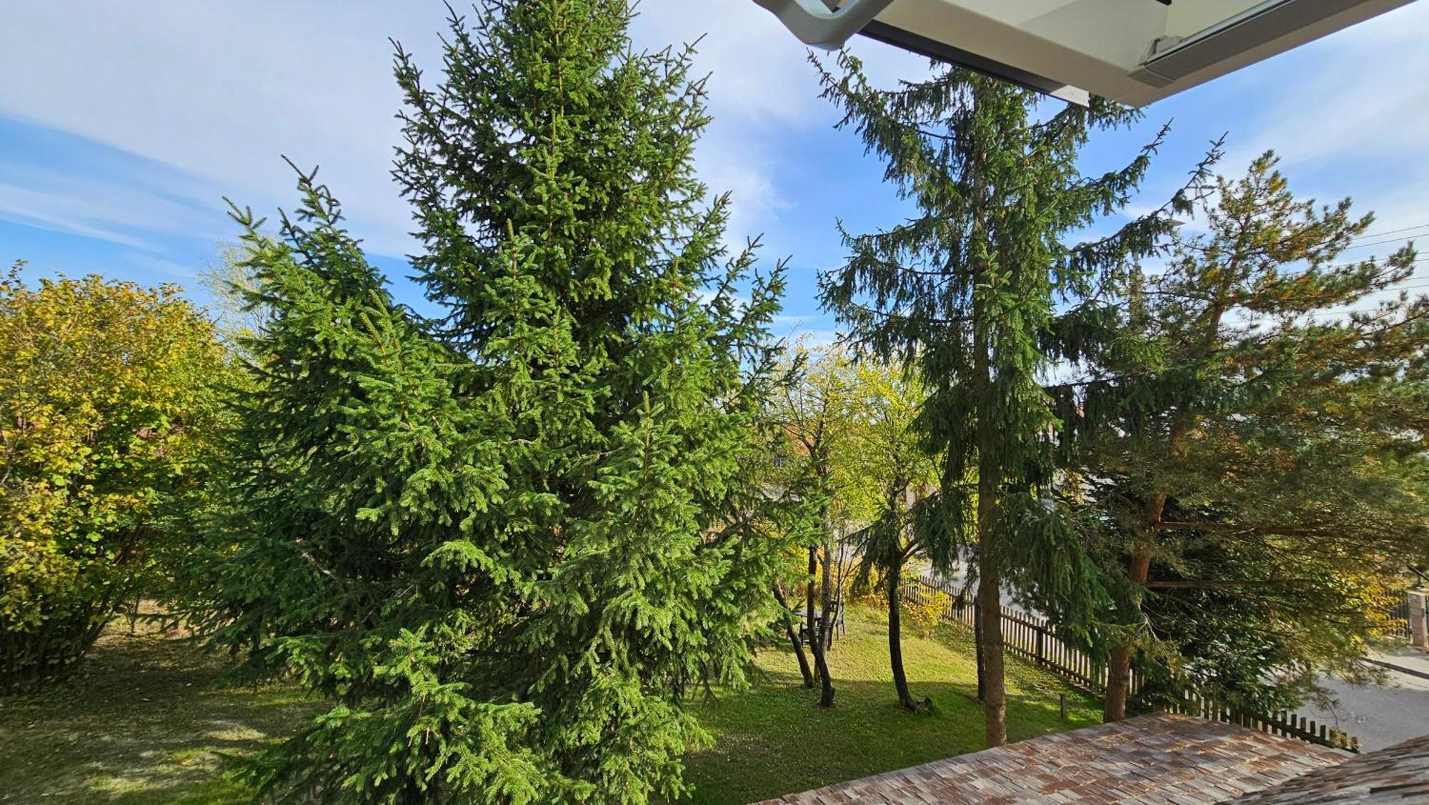 Stoczek 1929 Bed and Breakfast Białowieża Εξωτερικό φωτογραφία